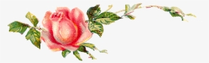 I Can Image Either Of These Digital Flower Images Decorating - Garden Roses