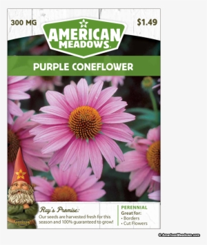 Click An Image To See It Above - American Meadows