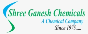 Shree Ganesh Medical Logo