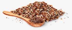 Quinua Tricolor Organica Doy Pack - Quinua Tricolor