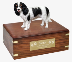 Tricolor Cavalier King Charles Spaniel Wood Urn W/ - Pug Urn