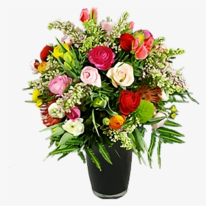 Flowers Pretty Beautiful Pettlesplant Plants Nature - Photography