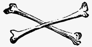 Bones Png Clipart - Cross Bones Png