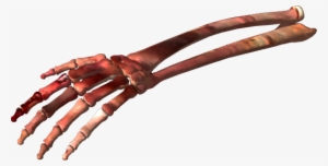 Bone Png Clipart - Bone Png