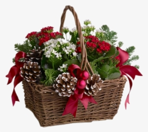 Flower Bokeh - Boss Birthday Greeting Cards