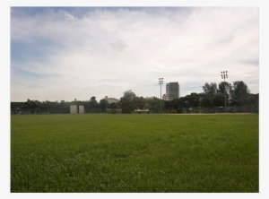 Singapore's National Team Lose Their Training Ground - Grass