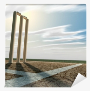 Cricket Pitch And Wickets Perspective Wall Mural • - Cricket Pitch Background
