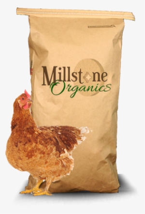 Organic Broiler - Mikrop Mikros Nosnice 1kg