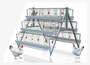 120 Birds Chicken Battery Cages - Battery Cages For Layers