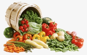Vegetable Png Clipart Min - Basket Full Of Vegetables