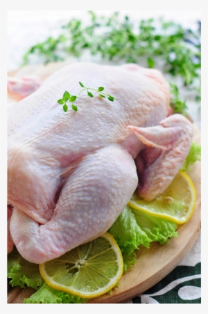 Who We Serve - Aqina Holdings Sdn. Bhd.