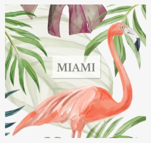 Miami Hurricanes Football