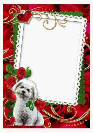 Love Photo Frame Png Clipart Picture Frames - Love Frame
