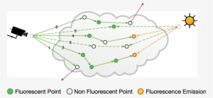 The Green And Yellow Rays Are Transported At Λ M And - Multiple Scattering Path Tracing