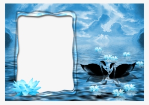 Image Transparent Library Wedding Photoshop Background - Illustration