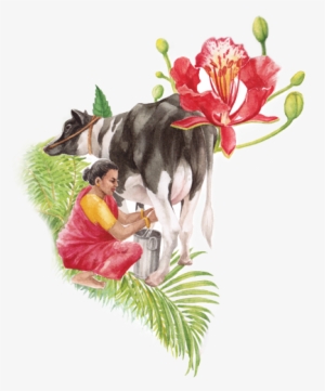 Arokya Milk