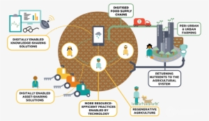 Regenerative Agricultural Production - Industry 4.0 And Circular Economy