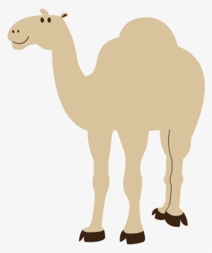 Colorful Animal Camel Geometry 999px 45 - Camel Clipart With Transparent Background