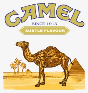 Camel Logo