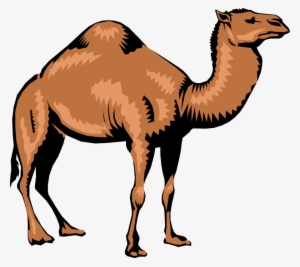Vector Illustration Of Dromedary Single-humped Beast - Camel