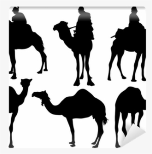 Black Silhouettes Of Camels, Vector Wall Mural • Pixers® - Silhouette