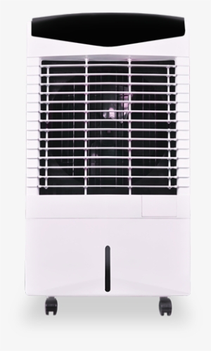 vego thunder cooler price