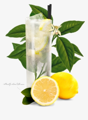 Tom Collins - Tom Collins Png