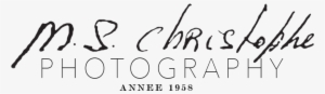 Ms Photography Logo Hd