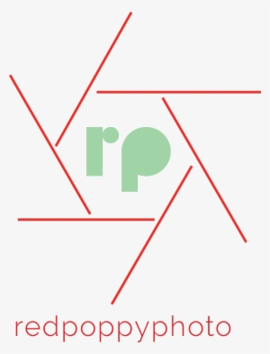 Red Poppy Photo Red Poppy Photo - Equilateral Triangle