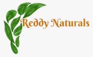 Reddy Naturals Reddy Naturals - Green Leaves Drawing