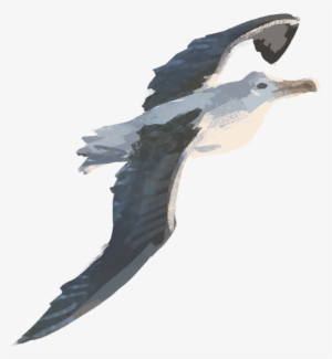 Pages 14 15 Questions Flight Turning - Flight