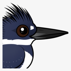 Clip Freeuse Library Cute Belted By Birdorable Meet - Birdorable