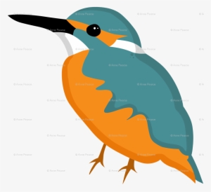 Seabird