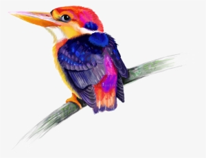 Kingfisher Png Transparent - Rabbit