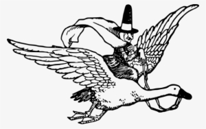 Beak /m/02csf Drawing Bird Line Art - Clip Art