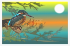 Woodpecker Perched On Tree Yellow Blue Orange Sun - Coraciiformes