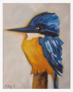 Passaros - Belted Kingfisher