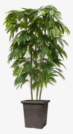 Wedding Gift Registry Nigeria - Topiary