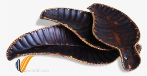 Wooden Carving Set Of 3 Mango Leaf Tray - Wood Carving