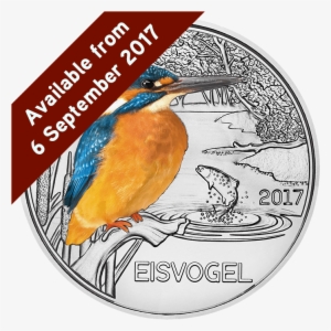 The Kingfisher Glow In The Dark Silver Coin - Colourful Coins Kingfisher