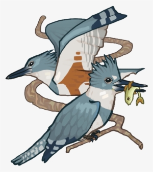 Kingfisher Pop Up Copy - Portable Network Graphics