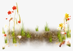 Flowers Plant Foreground Background Garden Stream Brook - Пришла Весна Png