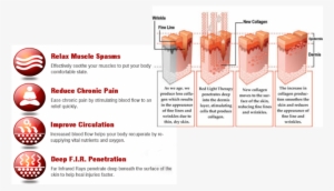 Latest Best Massage With Best Red Light Effect Png - Planet Fitness Red Light Therapy Before And After