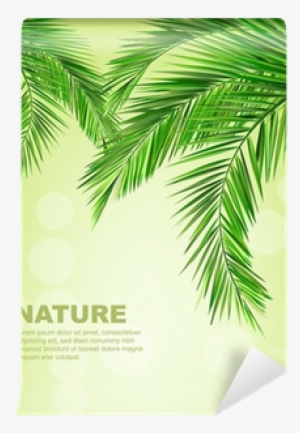 Coconut Leaf Background
