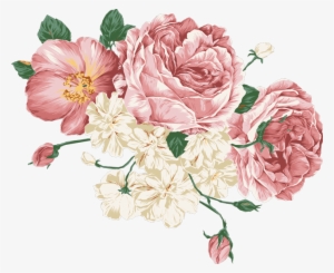 Peonies Vector