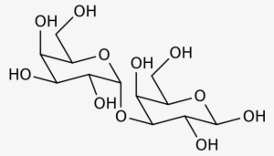 Chemical Structure Of Galactose Alpha 1,3 Galactose - Chemical Structure Of Meat