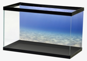 Lightblueopenwater