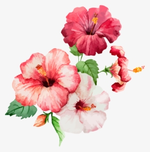The Annual Show - Hibiscus Watercolor