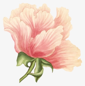 Roses - Chinese Peony