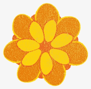 Marigold Blossom Flower - Tagetes Patula